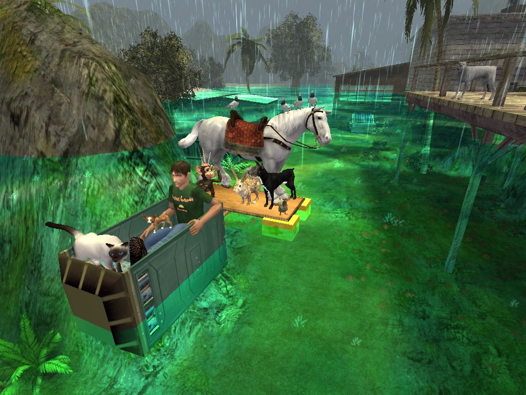 Nie wszyscy mieszkańcy tropikalnego raju zostali zaskoczeni przez monsun. Oto Noe i jego Arka