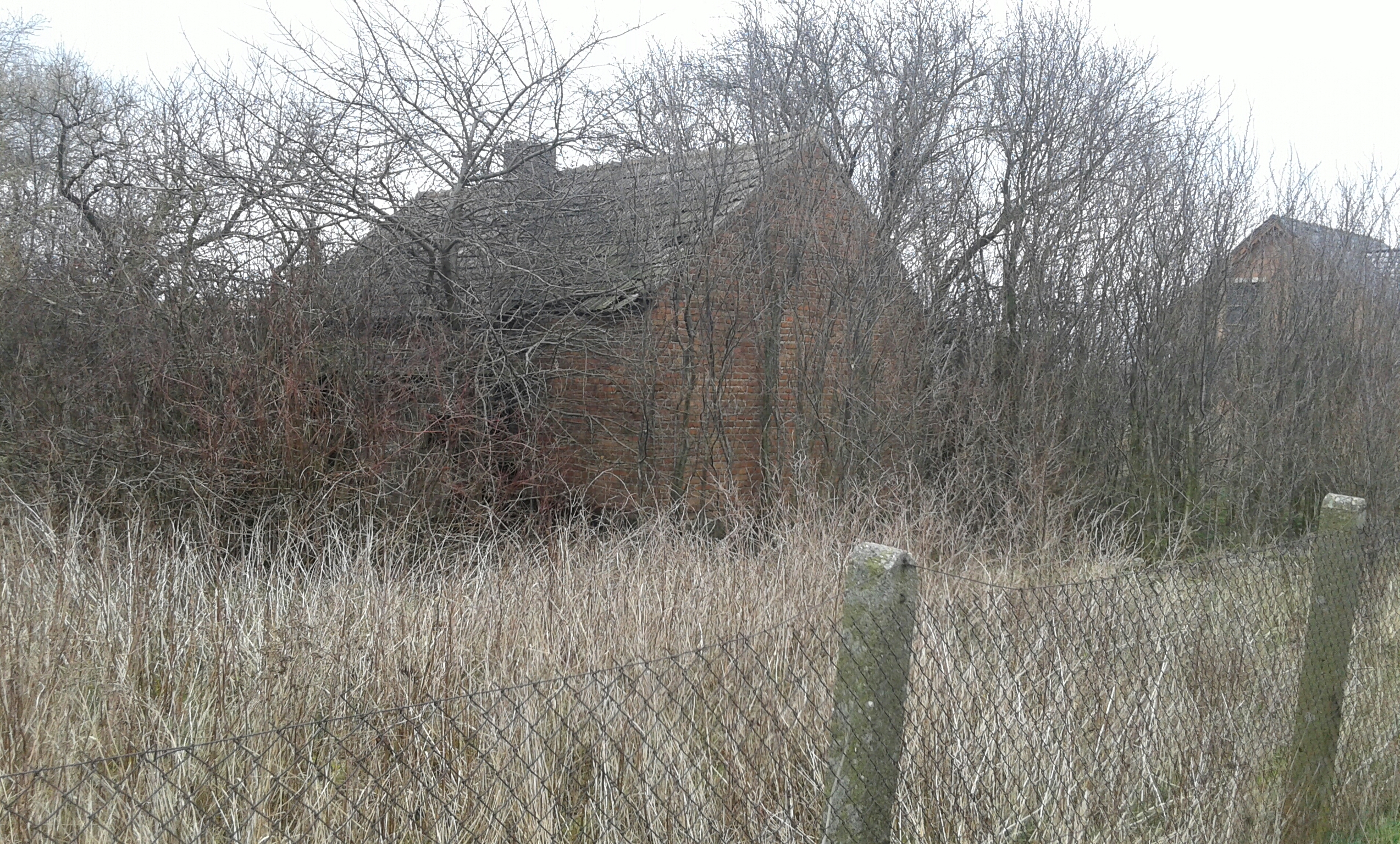 20160401_123743-1.jpg