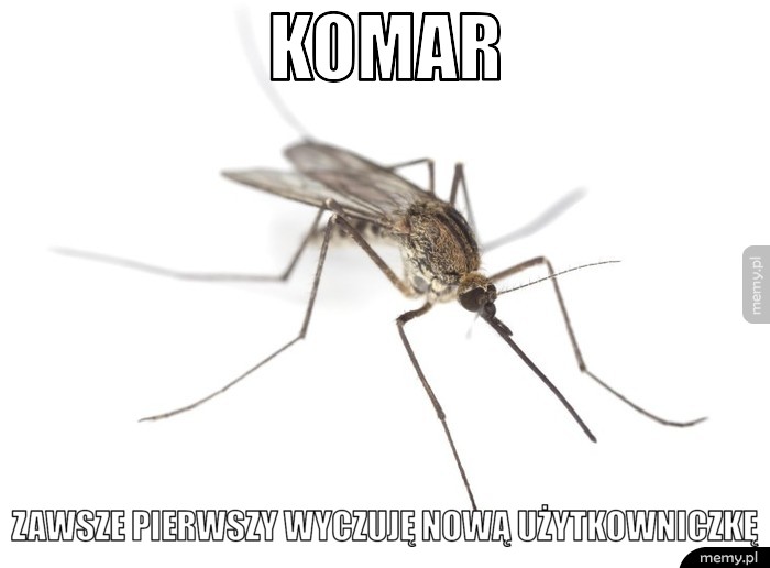 generImg.php.jpg